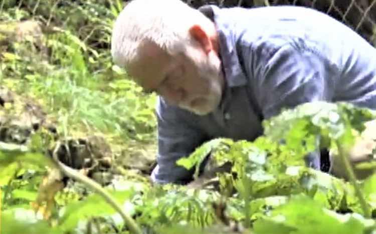 人手不足に台風被害で大ピンチ 将軍も食べた ある名産品の栽培で町おこしに燃えるyou Youは何し テレ東プラス