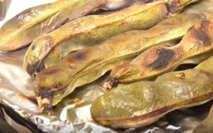 子どもも喜ぶ！シンプルでおいしいそら豆の食べ方＆びわのシロップ漬け｜テレ東プラス - Vimarsana News