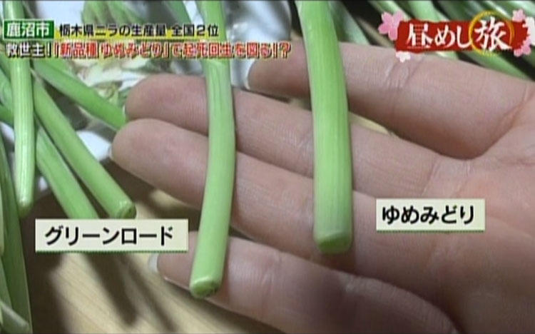 ワンワン運動会チャンピオン のお宅訪問 ニラ農家のニラ尽くし飯 昼めし旅 あなたのご飯見せてくださ テレ東プラス