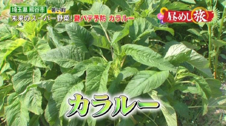 hirumesi_20180808_12.jpg