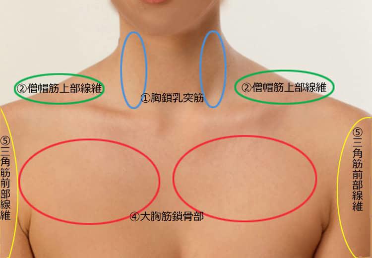  2. 骨折と破損