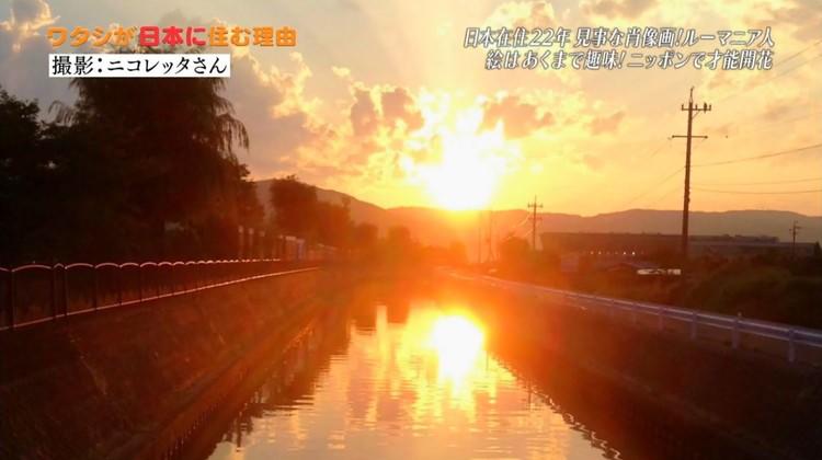 nipponsumu_20180909_02.jpg