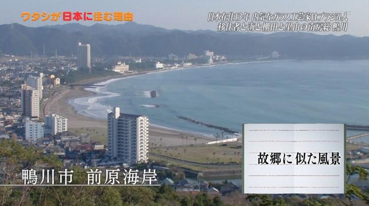 nipponsumu_20181125_06.jpg
