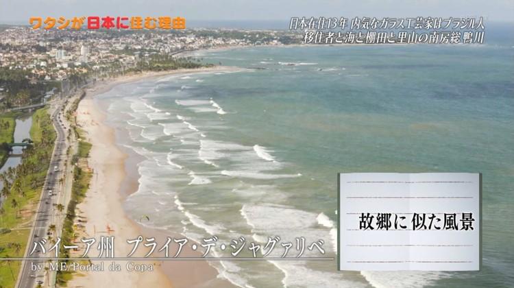 nipponsumu_20181125_07.jpg