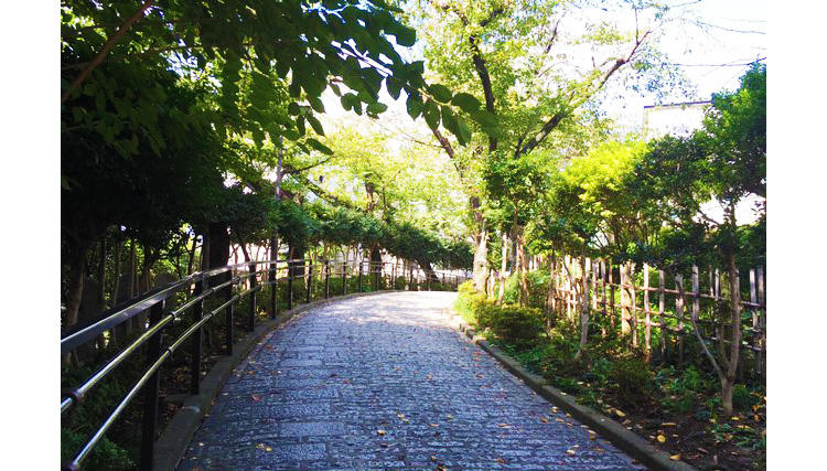 gotanda_20181105_01.JPG