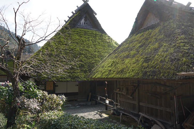 miyama2_7