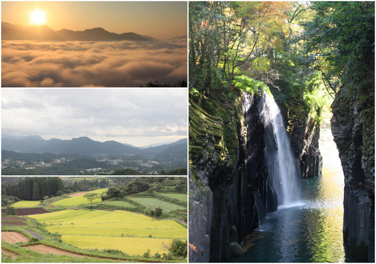 nohakukumamoto_02_20181025_05.jpg