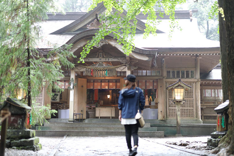 nohakukumamoto_02_20181025_09.jpg