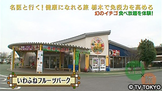 お問い合わせ一覧 健康旅行社 名医と行く 健康ツアー 16年3月12日 土曜スペシャル 毎週土曜日夜6時30分 テレビ東京