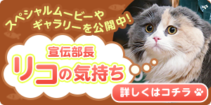 宣伝部長リコの気持ち