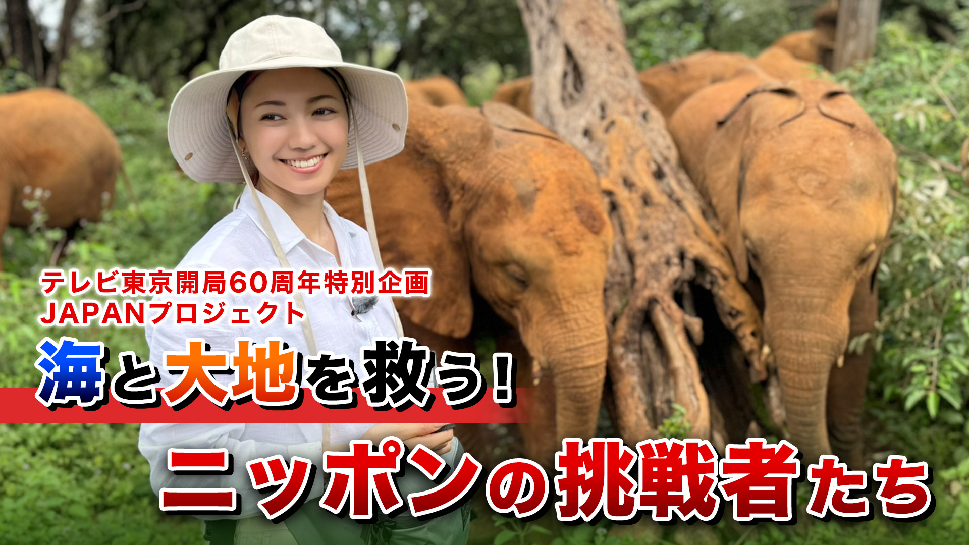 JAPANプロジェクト