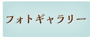フォトギャラリー