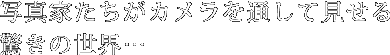 写真家たちがカメラを通して見せる驚きの世界