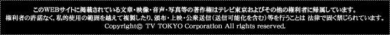 copyright
