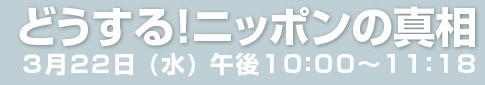 �ǂ�����I�j�b�|���̐^��