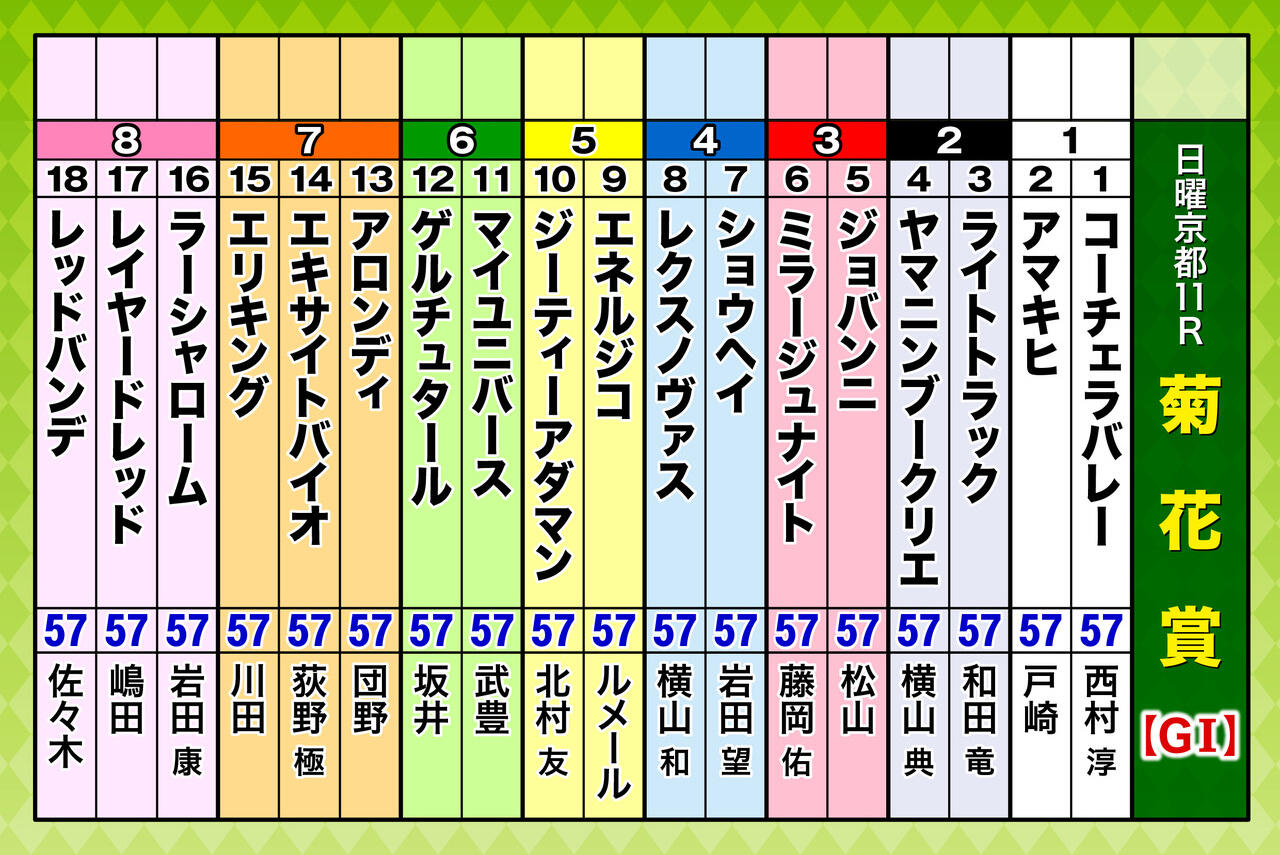 A3_出走表(18頭)菊花賞 (1).jpg