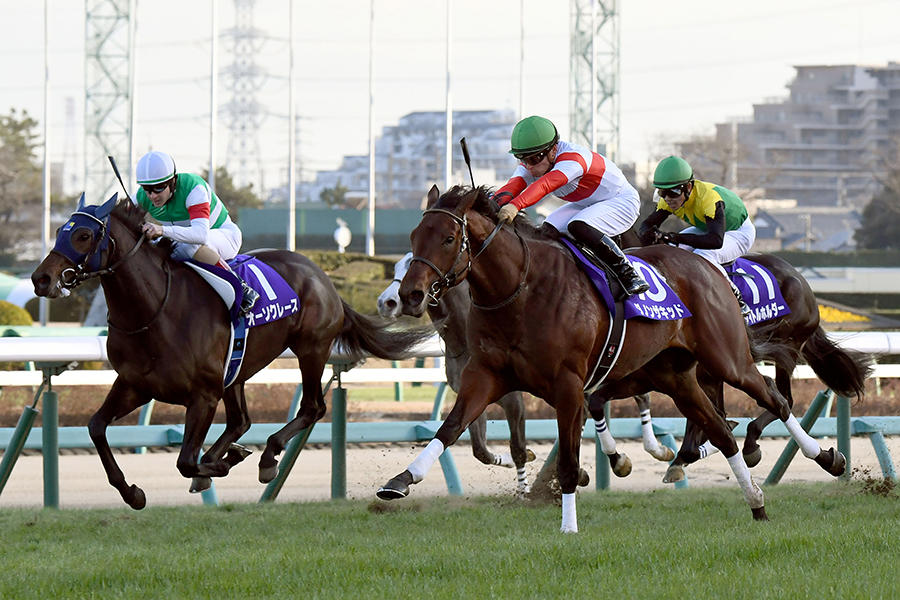 皐月賞みどころ 人馬の絆か師弟の絆か 皐月賞にまつわる人間ドラマ