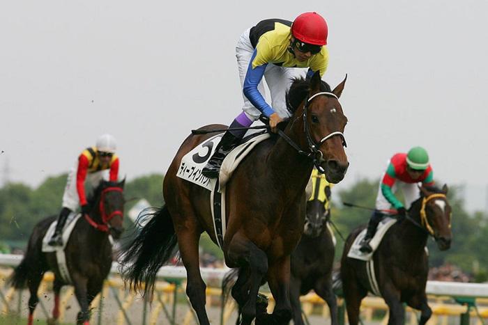 ディープインパクト産駒 史上最速JRA通算2400勝 サンデーサイレンス産