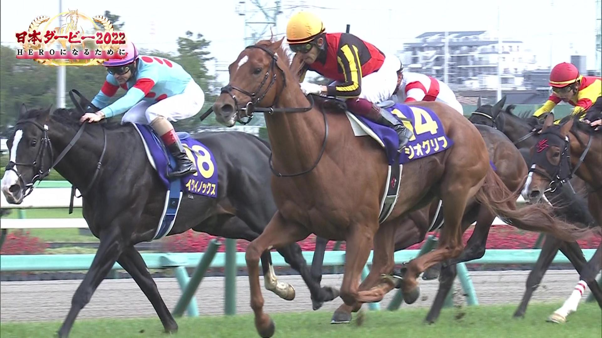 イクイノックス　2022日本ダービー ミニゼッケン 2026年最新】イクイノックス 有馬記念 ミニゼッケンの人気アイテム