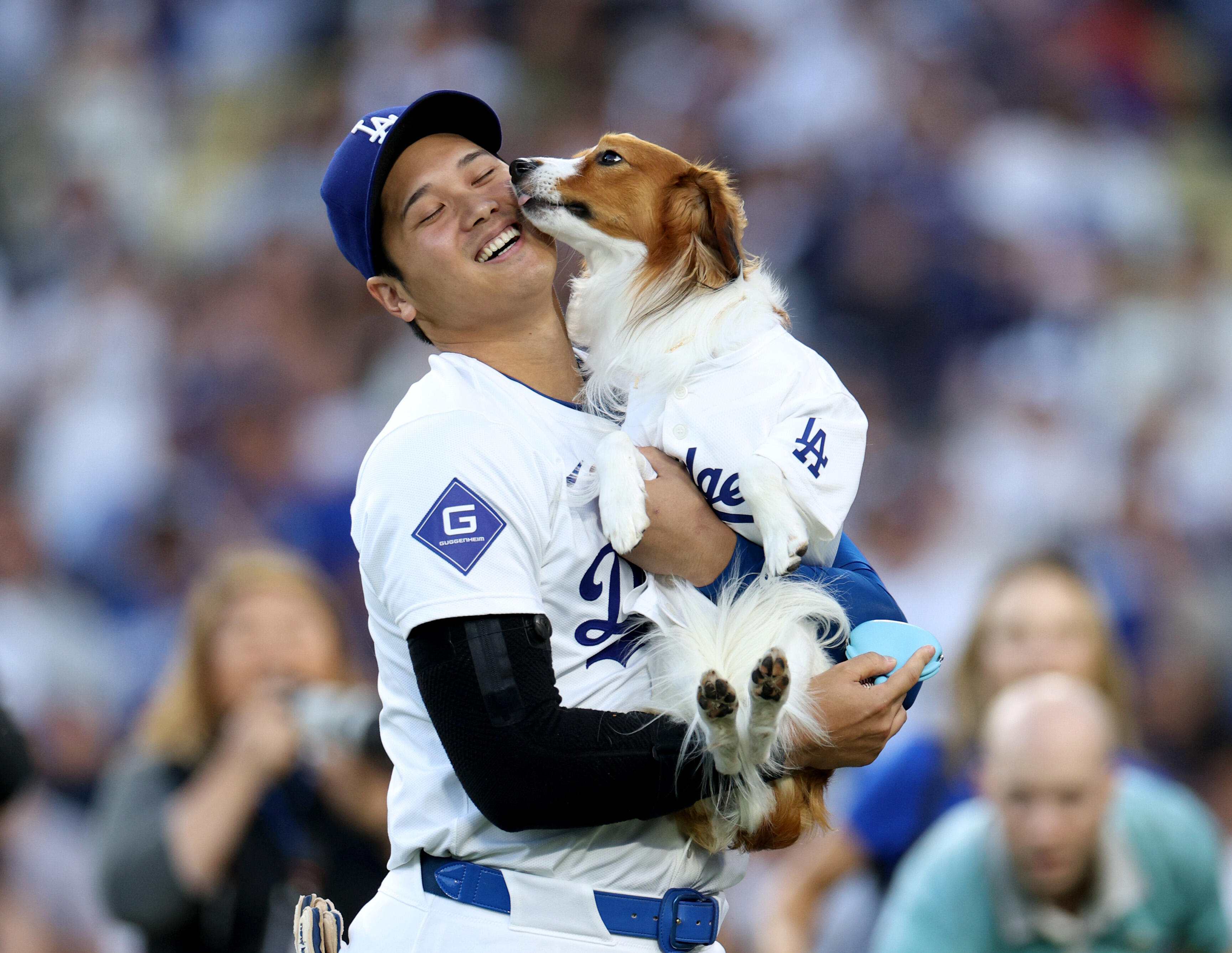 大谷の愛犬・デコピンの始球式に場内が拍手喝采！ロバーツ監督「翔平の 