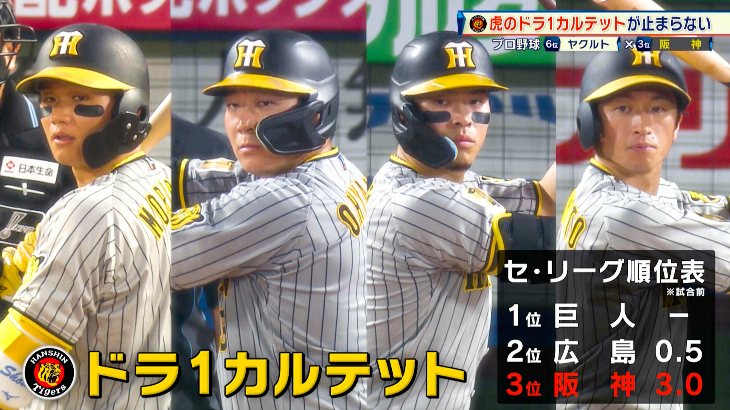 野球セ・リーグ公式戦ヤクルトvs巨人2枚組 【公式通販】