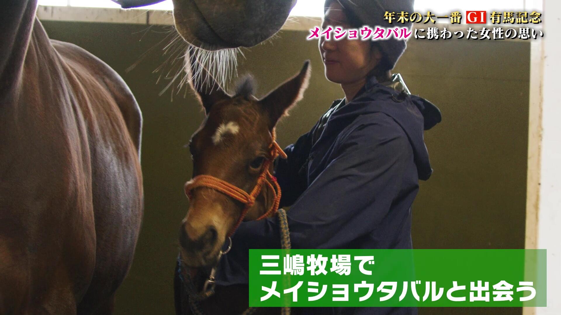 有馬記念】「タバルへの声援が嬉しかった」メイショウタバルを生んだ母