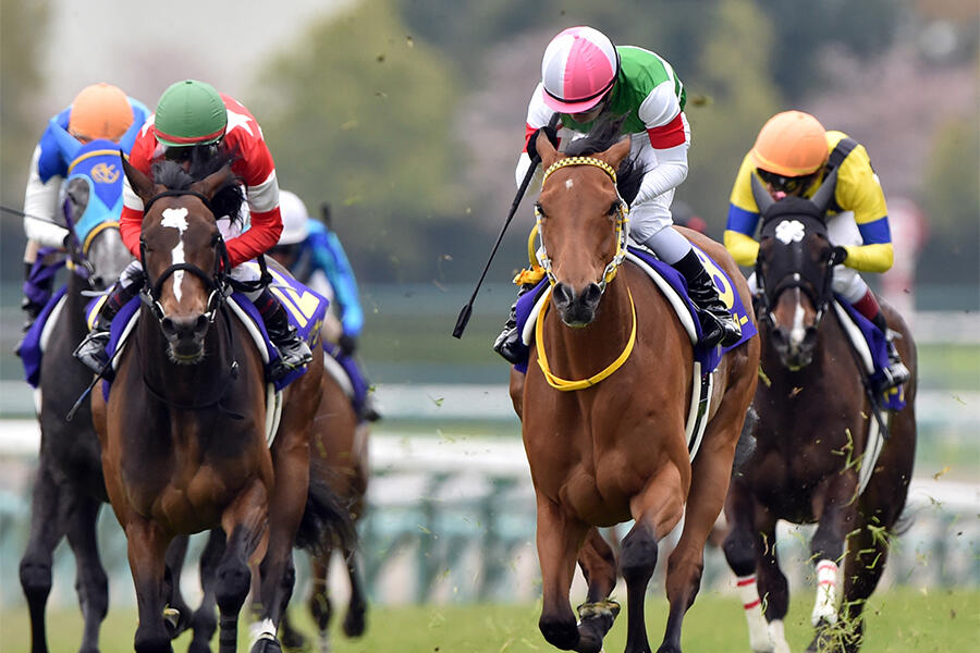 桜花賞優勝馬ハープスター「観る者を唖然とさせた衝撃の末脚」【もう