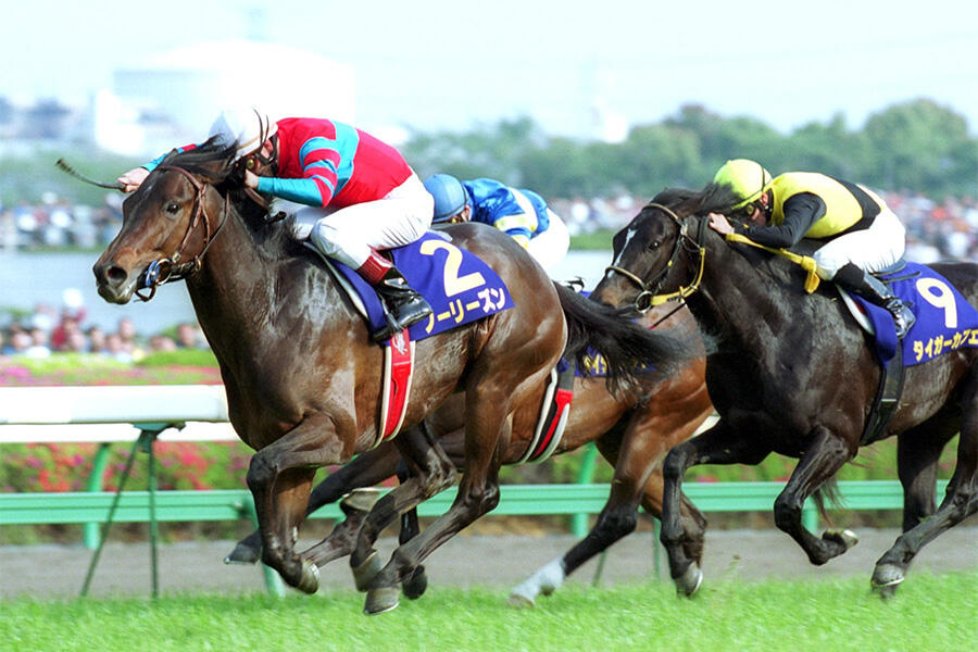 ノーリーズン「野馬追でも活躍した衝撃の皐月賞馬」【もうひとつの引退