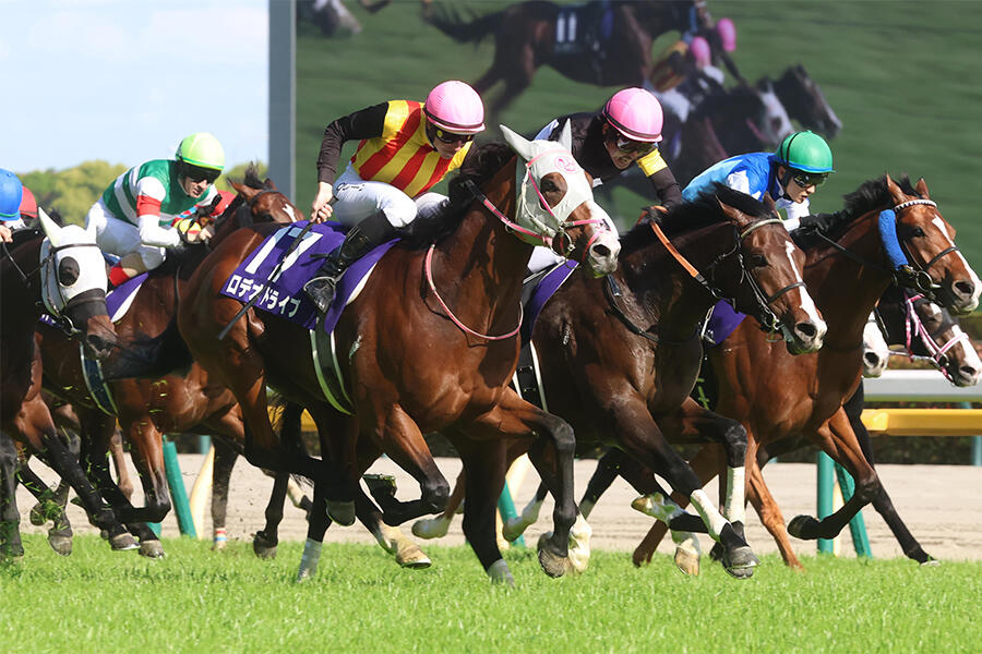 ジャパンC】アーモンドアイV！三冠馬の1・2・3フィニッシュ！コン