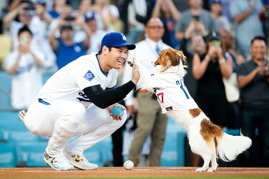 デコピンが始球式に登場！ノーバン・ストライク投球に 大谷翔平