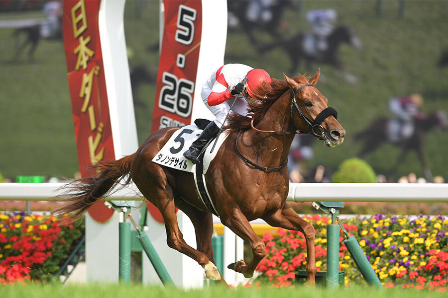 菊花賞 みどころ】歴史を変えるか、王座を奪うか［0・1・2・5