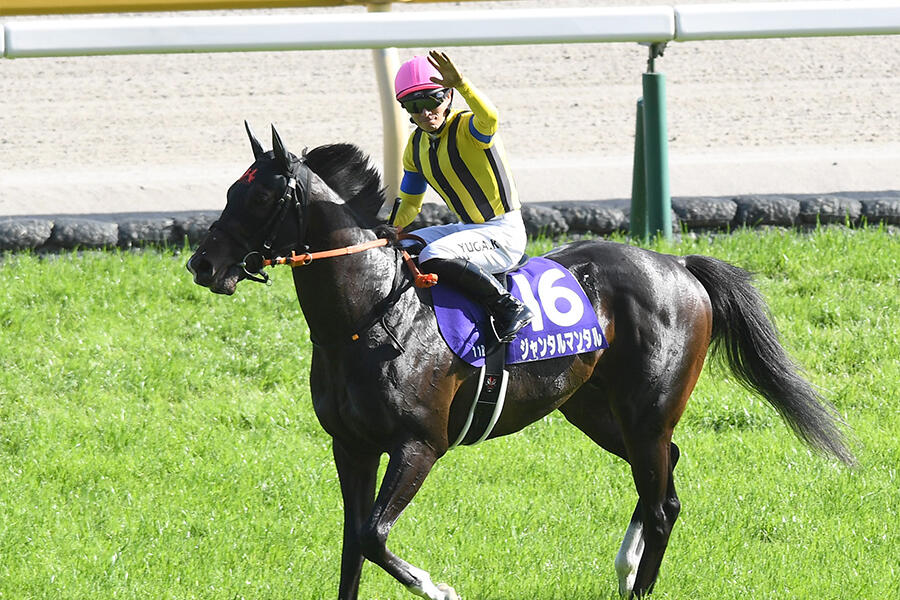 香港マイル みどころ】ジャンタルマンタル、ソウルラッシュ 2頭のGI馬