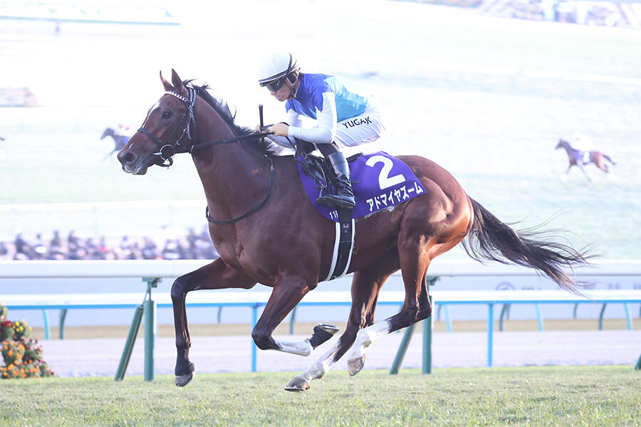 朝日杯FS】5番人気のアドマイヤズームが優勝！川田将雅騎手が連覇 2