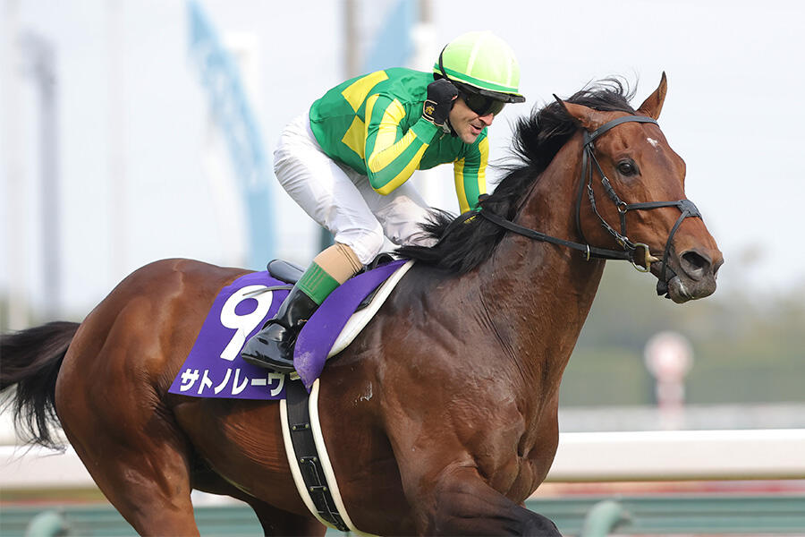 お取り置きサトノレーヴ　 高松宮記念 高松宮記念】サトノレーヴが史上2頭目の連覇！王者が強さを証明し、我