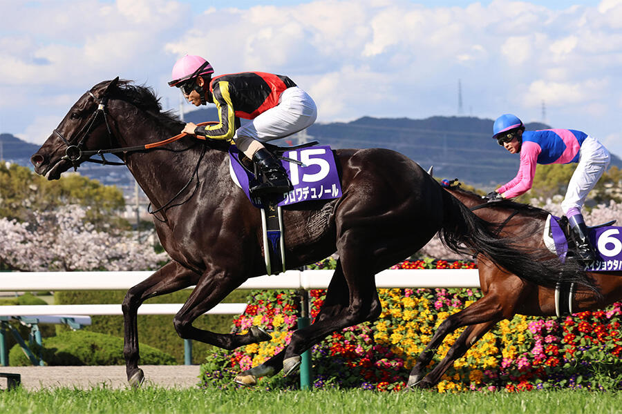 大阪杯】クロワデュノールが優勝！最強世代のダービー馬が新たな一面を