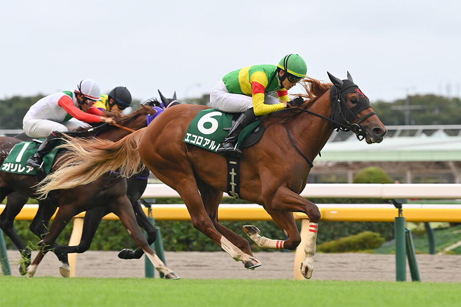 朝日杯FS 見どころ】2歳王者の座を掴む、類まれなスピードを持つ馬は誰