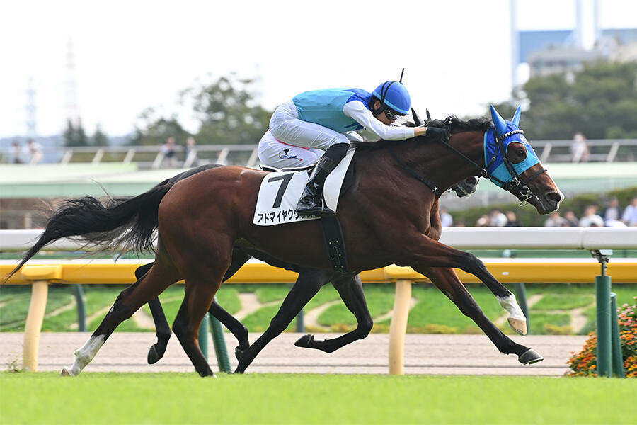朝日杯FS 見どころ】2歳王者の座を掴む、類まれなスピードを持つ馬は誰