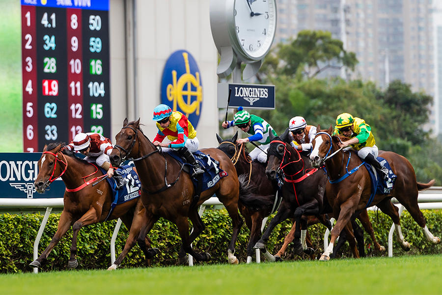 香港スプリント 日本勢はメイケイエールの5着が最先着 香港勢の厚い壁に跳ね返される テレビ東京スポーツ テレビ東京