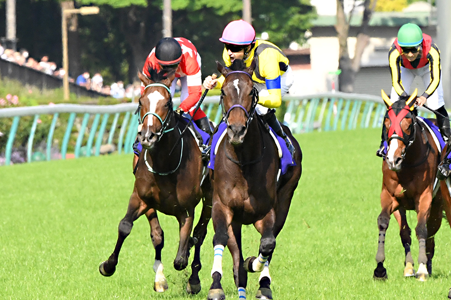 オークス】スターズオンアースが史上16頭目の牝馬二冠達成！C.ルメール 