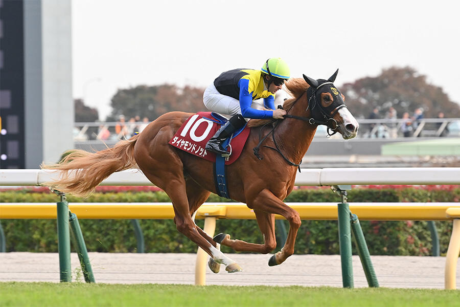 朝日杯FS 見どころ】2歳王者の座を掴む、類まれなスピードを持つ馬は誰