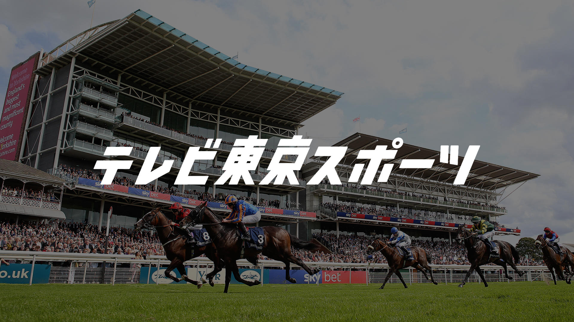 キングカメハメハ産駒 JRA通算2100勝達成！｜テレ東スポーツ：テレ東