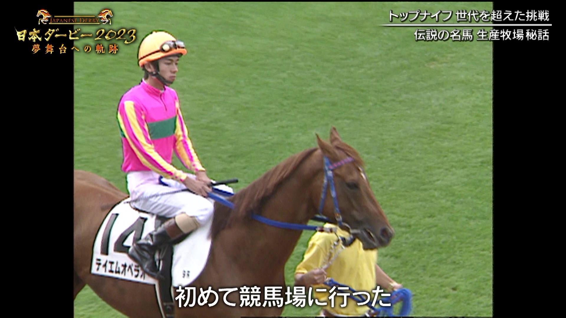 vlcsnap-2023-05-28-00h13m59s174.jpg