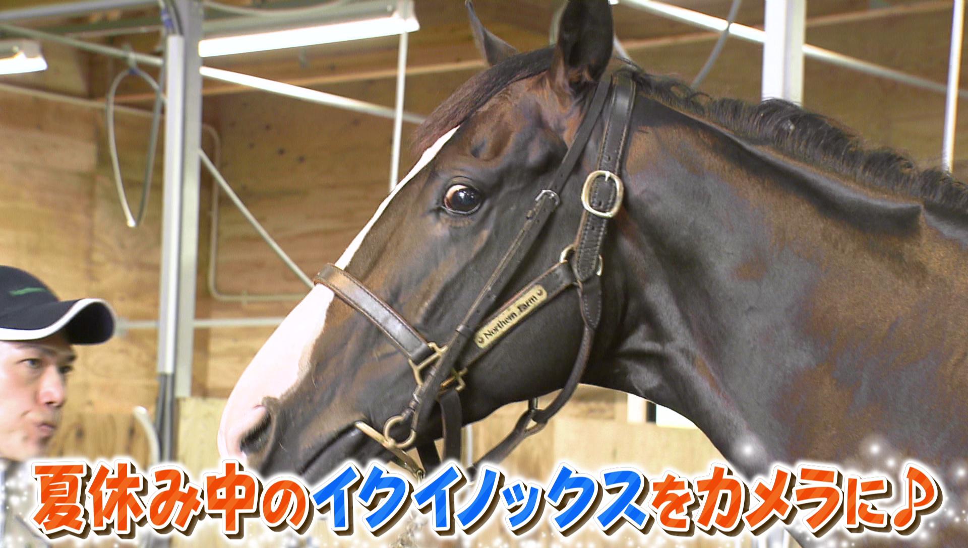 vlcsnap-2023-07-29-18h09m19s319.jpg