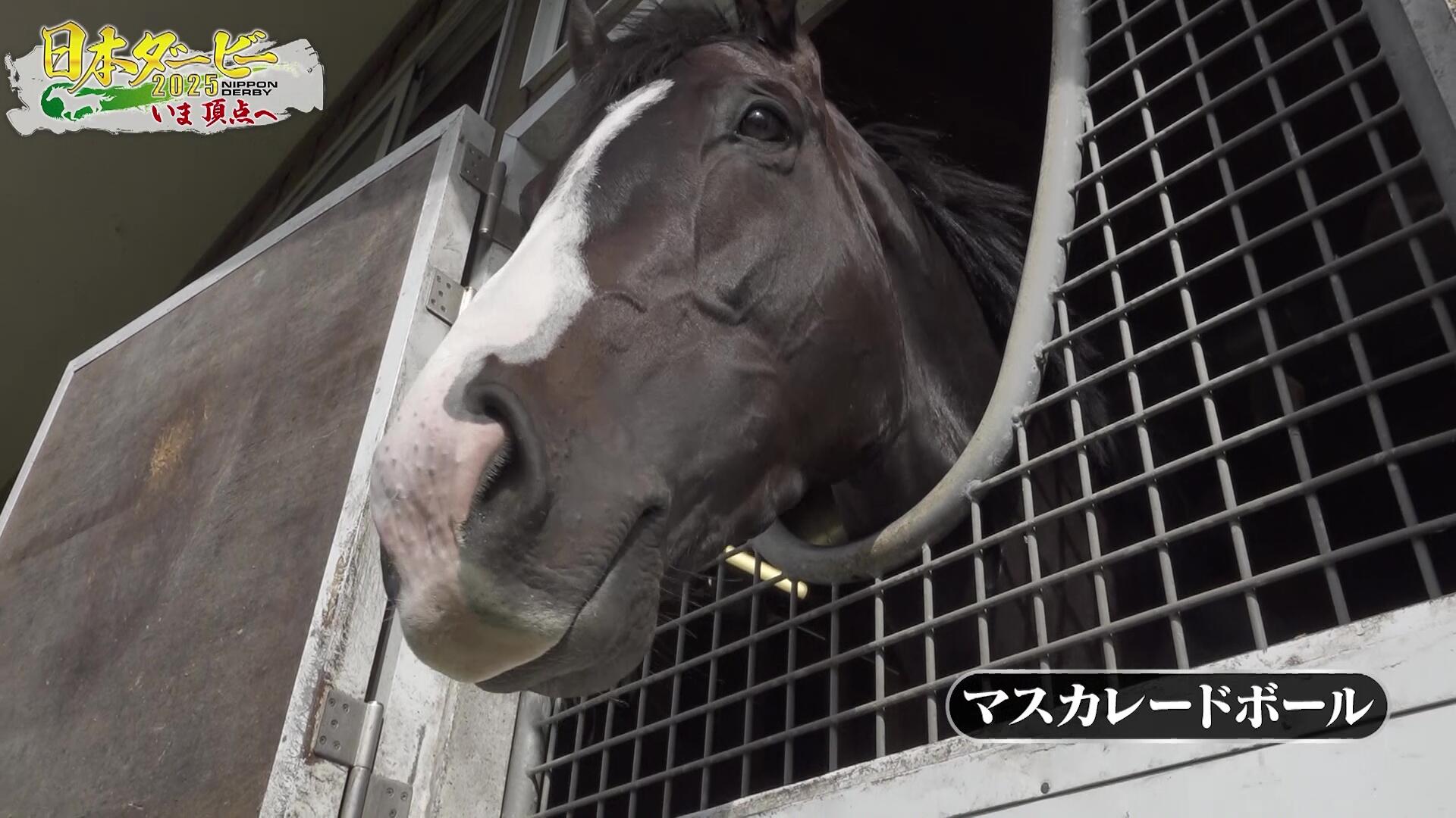 日本ダービー】愛さずにはいられない マスカレードボール＆坂井瑠星