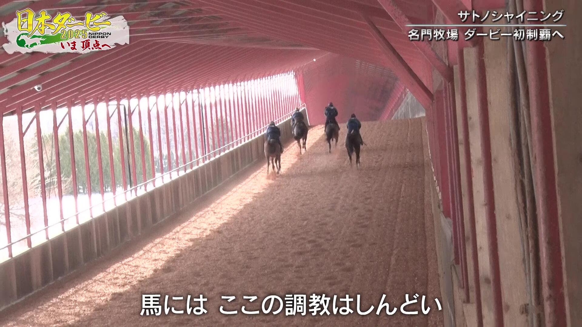 vlcsnap-2025-05-30-20h29m39s804.jpg