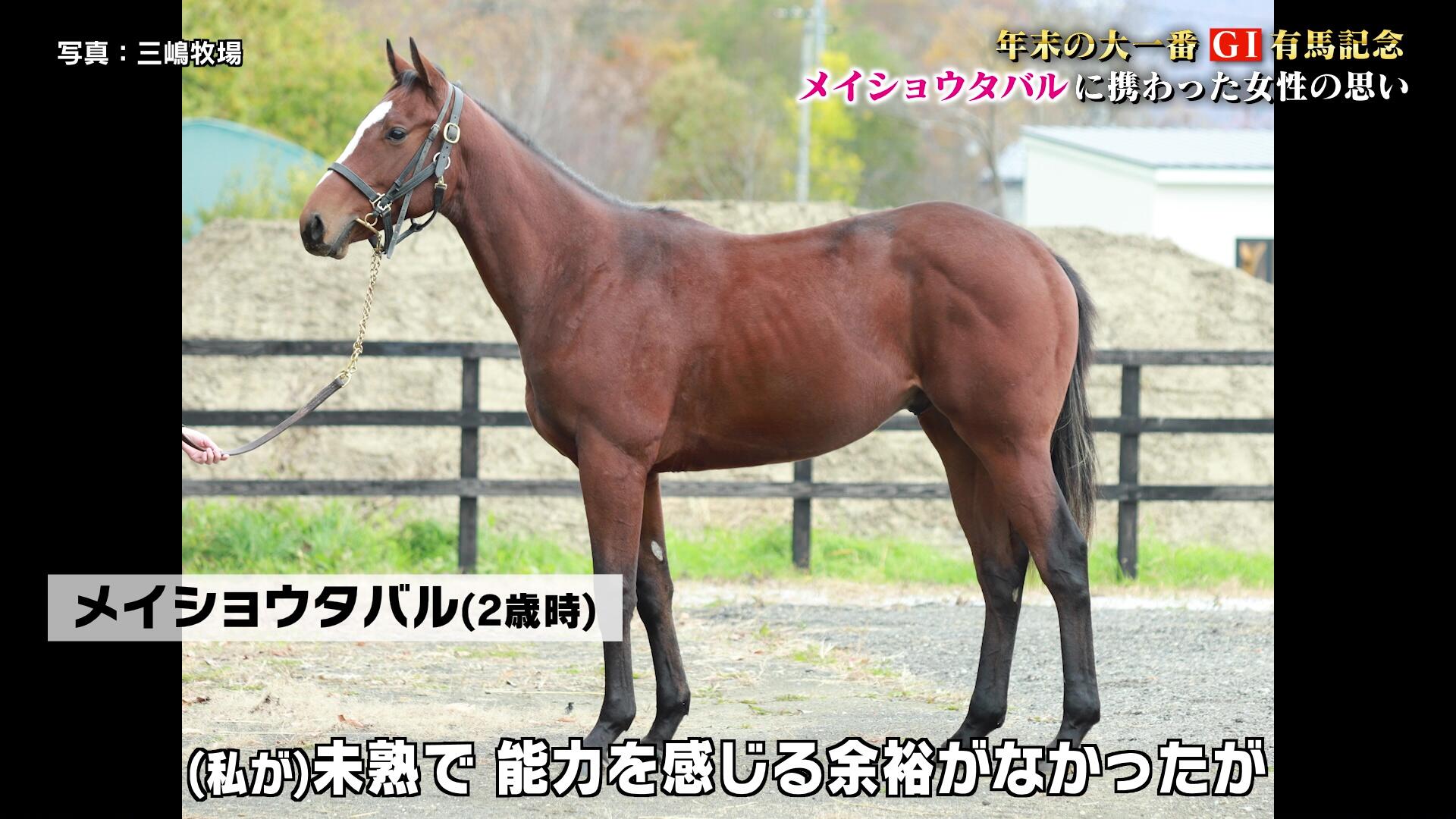 vlcsnap-2025-12-27-08h22m39s830.jpg