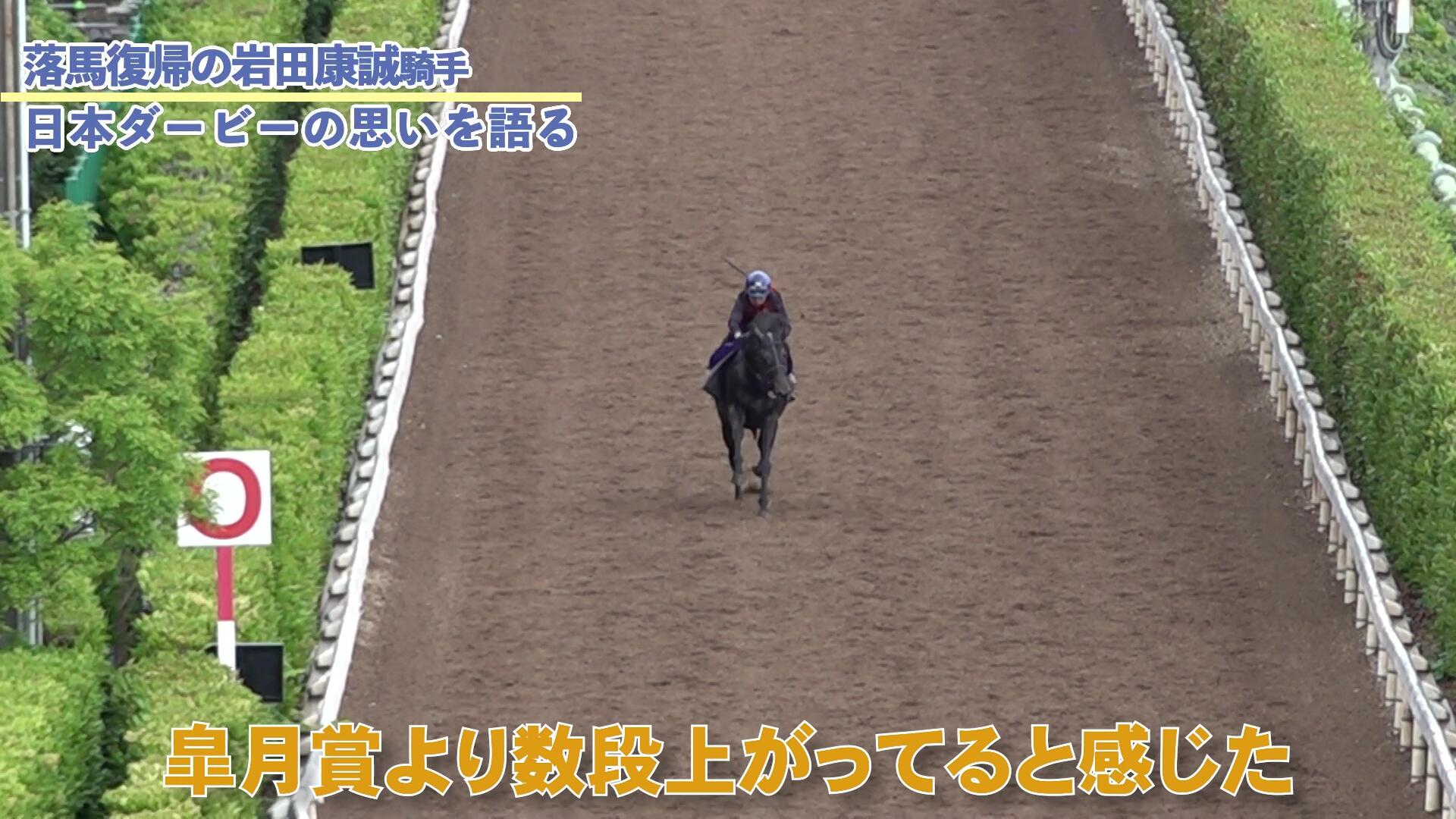 vlcsnap-2026-05-29-19h25m05s912.jpg