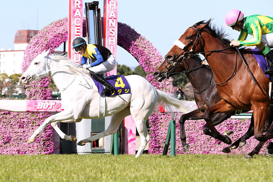 秋華賞】ソダシは吉田隼人、ユーバーレーベン M.デムーロ。出走馬16頭