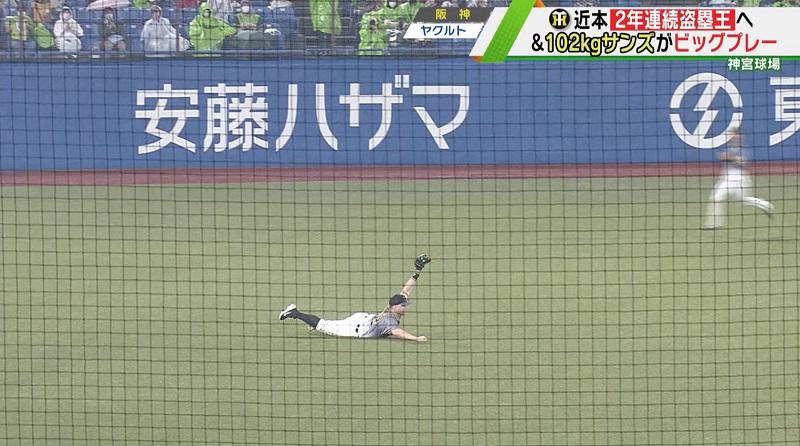 サンズファイン.jpg