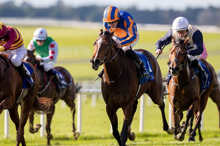 英國拿騷s 深的no仔迷篩子湯汁在父親的忌辰獲得優勝 東京電視台運動 東京電視台